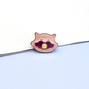 Detail of a cute cartoon raccoon resin brooch with a smooth enamel finish for clothing decor
