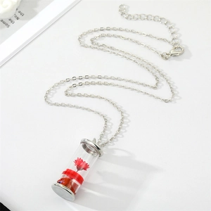 Detailed macro view of a glass cylinder pendant necklace featuring a red dried daisy flower