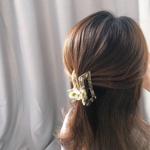 Pince à cheveux élégante en résine transparente avec de vraies marguerites blanches