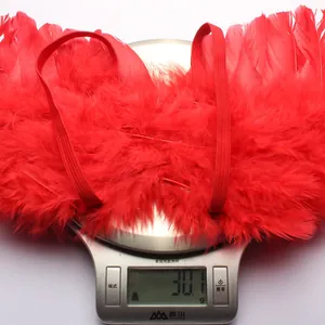 Close-up of red feather wings for newborn photography weighing 30.1g on a scale