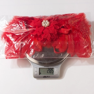 Détail macro du bandeau plume rouge avec fleur en perles sur une balance de cuisine digitale