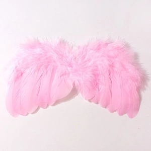 Ailes d'ange en plumes roses et bandeau assorti pour accessoires photo de bébé