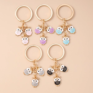Lot de cinq porte-clés hibou mignons en émail de couleurs rose, violet et bleu