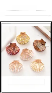 Set di sei mollette per capelli a conchiglia con linee dorate in vari colori vivaci