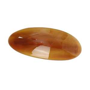 Elegant oval amber-colored acetate hair clip with vintage tortoiseshell marble texture