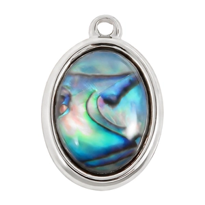 Macro detail van ovale abalone schelp hanger in zilveren roestvrijstalen frame voor sieraden