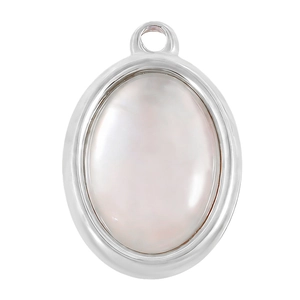 Detail van een ovale 304 roestvrijstalen hanger met natuurlijke abalone schelp inleg