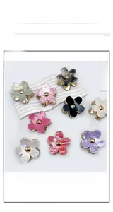 Lot de neuf pinces à cheveux en acrylique en forme de fleurs colorées à cœur doré