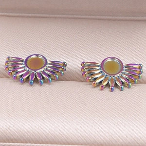 Détail de boucles d'oreilles ovales en acier inoxydable avec finition arc-en-ciel