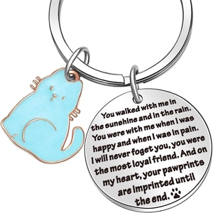 Stainless steel pet memorial keychain with blue cat charm and heart-touching engraved disc
