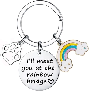 Detail of pet memorial keychain featuring rainbow charm and engraved rainbow bridge quote