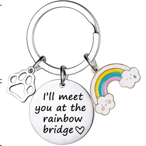 Rainbow bridge pet memorial keychain with stainless steel dog paw and rainbow charm
