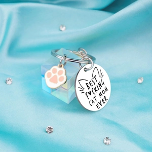 Porte-clés Cat Mom Ever en acier inoxydable avec patte rose sur fond en soie bleue