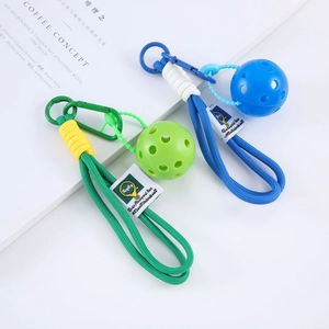 Portachiavi mini pickleball vivaci per zaini con corde intrecciate e ganci in plastica