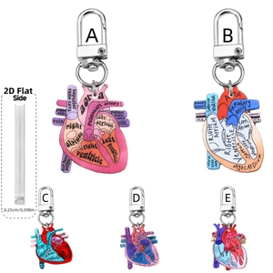 Confronto dettagliato di cinque portachiavi a cuore anatomico con spessore di 0,25 cm