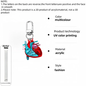 Dettaglio del portachiavi a cuore anatomico in acrilico con stampa UV e dimensioni