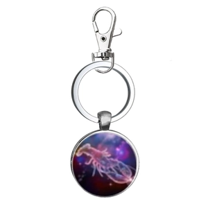Detail of silver metal keychain featuring a celestial zodiac glass dome pendant