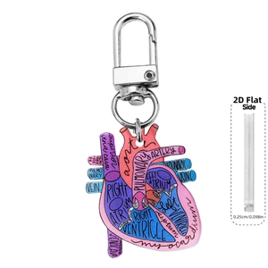Portachiavi con cuore anatomico, etichette mediche e chiusura in metallo argentato