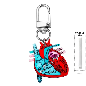 Portachiavi con diagramma del cuore anatomico in acrilico 2D con chiusura in argento
