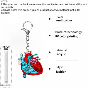 Macro view of 2D acrylic heart keychain showing the 0.25cm thickness and anatomical detail