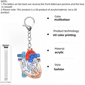 Detailed view of the 2D acrylic heart keychain with medical anatomical UV printing
