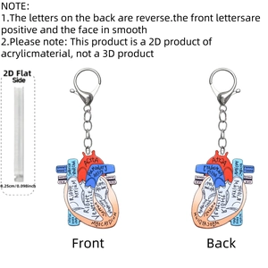 Detailed 2D acrylic heart keychain with anatomical labels and a 0.25cm thickness view