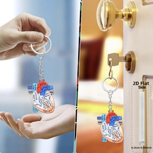 Detail view of 2D anatomical heart keychain showing medical labels and 0.25cm thickness