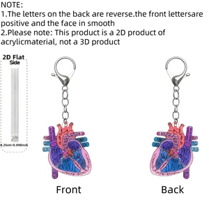 Détail du porte-clés cœur 2D en acrylique montrant l'épaisseur de 0,25 cm et l'anatomie