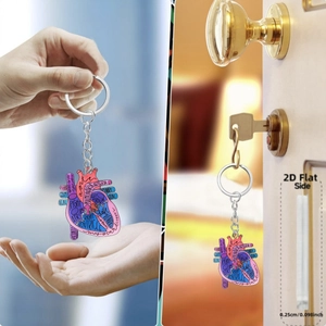 Vue détaillée du porte-clés anatomie du cœur en acrylique 2D avec terminologie médicale