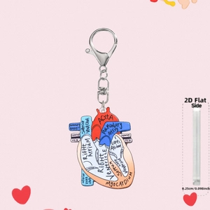 Detail view of 2D acrylic heart keychain with anatomical labels and silver lobster clasp