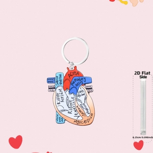 Nurse themed acrylic heart keychain with medical anatomy diagram and metal ring