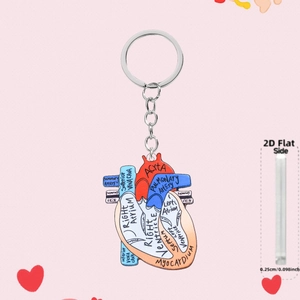Detail showing anatomical heart keychain with labeled aorta and vena cava parts