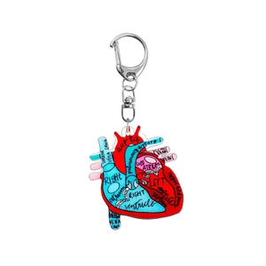 Creative 2D acrylic heart anatomy keychain with medical nurse theme and metal clasp