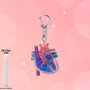 Porte-clés cœur anatomie 2D en acrylique avec étiquettes médicales et fermoir métal