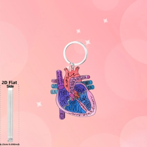 Porte-clés cœur anatomique en acrylique avec étiquettes médicales et détail d'épaisseur