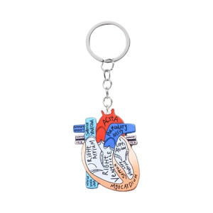 Human heart anatomy keychain with medical labels aorta and ventricle on white background
