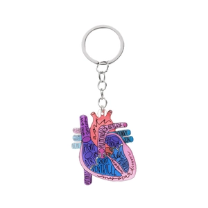 Porte-clés cœur anatomique 2D en acrylique avec terminologie médicale pour infirmière