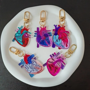 Anatomical Heart Keychain For Nurses Medical Students Acrylic Heart Shape Pendant Science Medical Student ID Card Accessory Gift