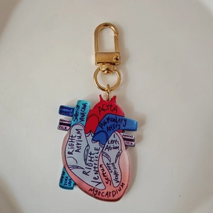 Acrylic anatomical heart keychain with golden clip and medical labeling for nurses