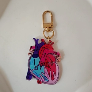 Anatomical heart acrylic keychain with colorful medical labels and golden lobster clasp