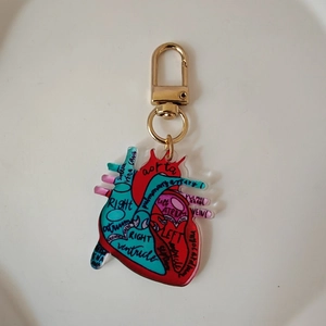Acrylic anatomical heart keychain with detailed medical labels and a gold metal lobster clasp