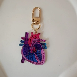 Close-up of anatomical heart acrylic badge with medical labels and gold lobster clasp