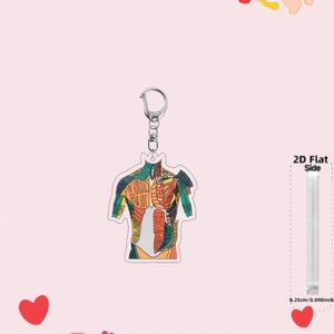 Acrylic human muscular system anatomy keychain with medical illustrations and silver metal ring