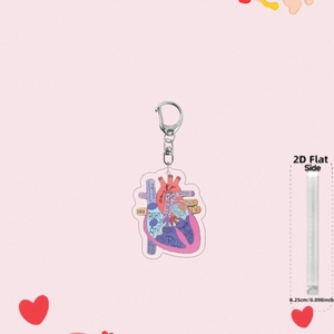 Detailed 2D acrylic heart anatomy keychain with 0.25cm thickness measurement view