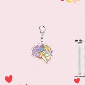 Detailed macro view of 2D acrylic human brain anatomy keychain with color-coded lobes