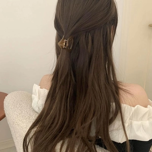 Brown translucent triangle hair claw clip securing a high ponytail on brown hair