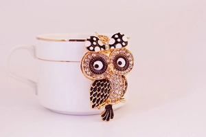 Détail macro d'un porte-clés hibou mignon avec strass brillants et finition émaillée