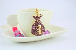 Detailed shot of money bag keychain with purple rhinestones and golden dollar sign