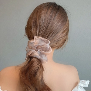 Detailansicht eines eleganten Organza-Haargummis in Champagner-Gold am Pferdeschwanz