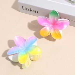 Pinces à cheveux fleurs en acrylique aux couleurs dégradées pour chignons élégants